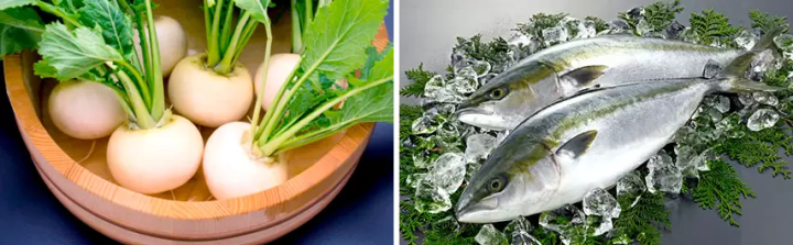 A journey to discover the mysteries and charms of fermentation in Hokuriku -TOYAMA/ISHIKAWA/FUKUI-