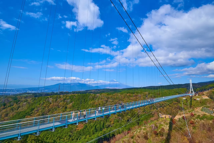Mishima Skywalk
