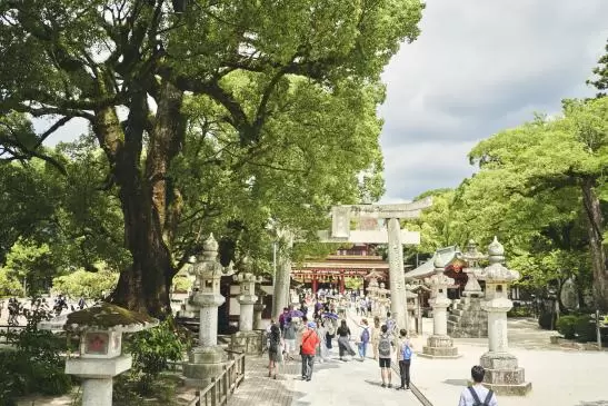 ดาไซฟุ อุทิศแด่เทพเจ้าแห่งการเรียนรู้ เป็นศาลเจ้าที่เป็นตัวแทนของ ฟุกุโอกะ ที่คุณสามารถสัมผัสประวัติศาสตร์และประเพณีของศาลเจ้าได้ (ภาพถ่ายโดยสหพันธ์การท่องเที่ยว จังหวัดฟุกุโอกะ) 