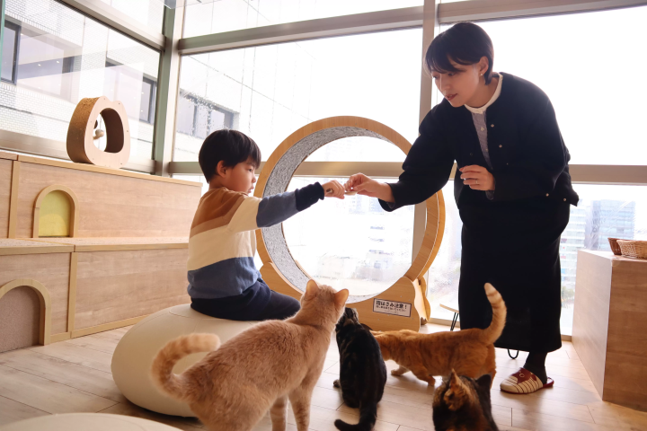 Right in front of Kawasaki Station! Kawasui Kawasaki Aquarium has a space where you can interact with animals!