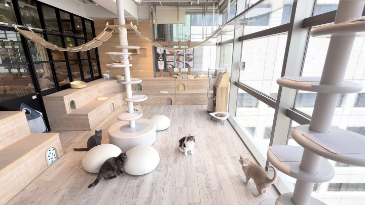 画像提供：カワスイ 川崎水族館 