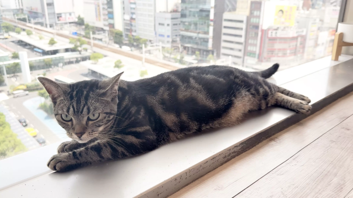 画像提供：カワスイ 川崎水族館 