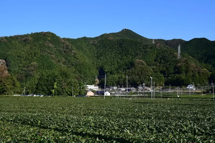 Mt. Karasudake Day Trip Itinerary: Beginner-friendly Hiking in Matsusaka’s Lush Forests