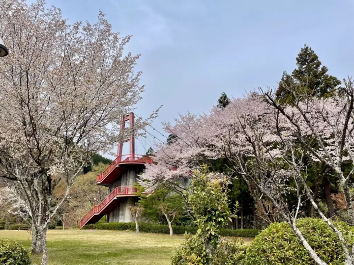 Mt. Karasudake Day Trip Itinerary: Beginner-friendly Hiking in Matsusaka’s Lush Forests