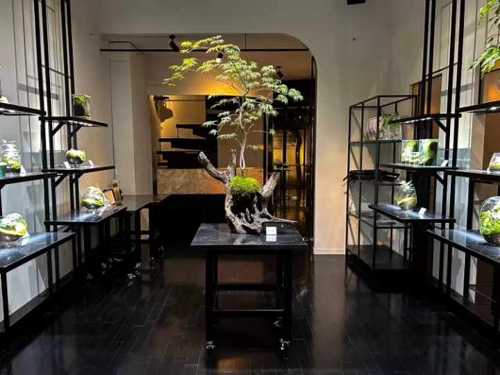 [นาโกย่า] โลกแห่งมอสเทอเรียม ที่คุณสามารถทอ "ชิ้นส่วนเล็กๆ ของธรรมชาติ" ของคุณเองได้