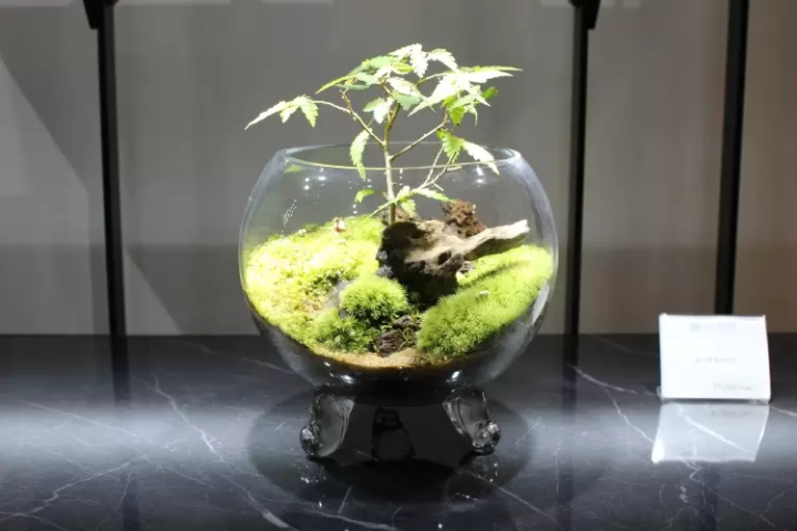 [นาโกย่า] โลกแห่งมอสเทอเรียม ที่คุณสามารถทอ "ชิ้นส่วนเล็กๆ ของธรรมชาติ" ของคุณเองได้