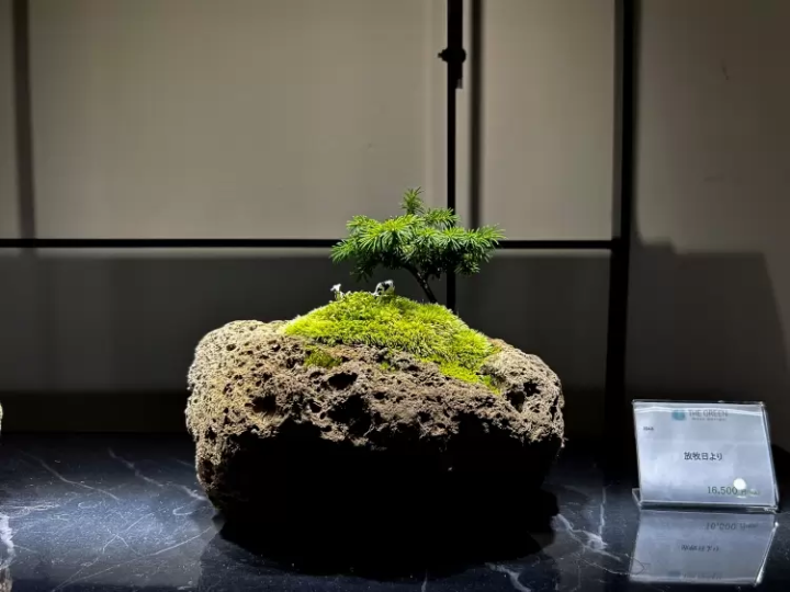 [นาโกย่า] โลกแห่งมอสเทอเรียม ที่คุณสามารถทอ "ชิ้นส่วนเล็กๆ ของธรรมชาติ" ของคุณเองได้