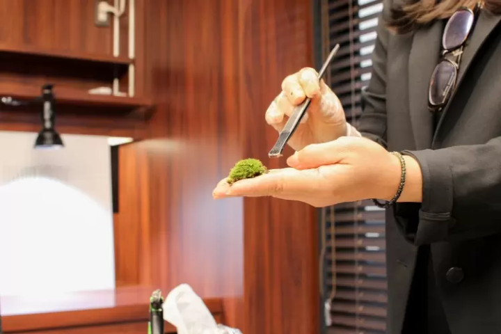 [นาโกย่า] โลกแห่งมอสเทอเรียม ที่คุณสามารถทอ "ชิ้นส่วนเล็กๆ ของธรรมชาติ" ของคุณเองได้