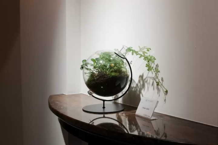 [นาโกย่า] โลกแห่งมอสเทอเรียม ที่คุณสามารถทอ "ชิ้นส่วนเล็กๆ ของธรรมชาติ" ของคุณเองได้