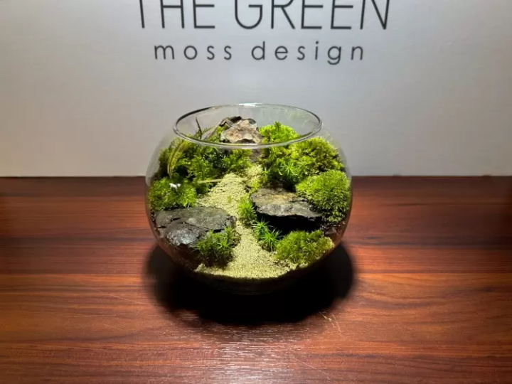 [นาโกย่า] โลกแห่งมอสเทอเรียม ที่คุณสามารถทอ "ชิ้นส่วนเล็กๆ ของธรรมชาติ" ของคุณเองได้