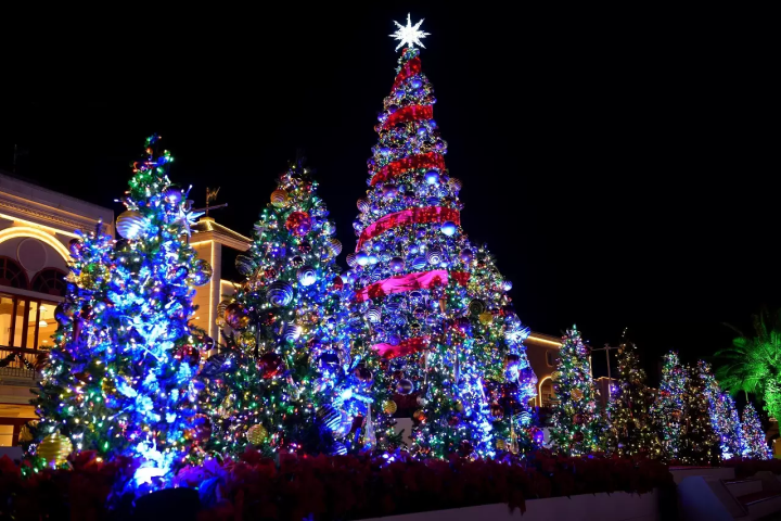 Laguna Ten Bosch: Winter Illuminations, Fireworks and More 
