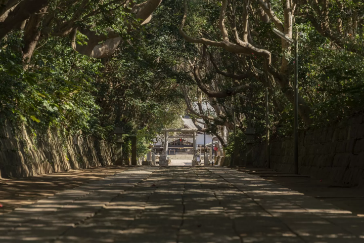 [Ibaraki] Enjoy Autumn! A Day Trip to See Kochia Leaves, Seaside Torii Gates, and Taste the Food