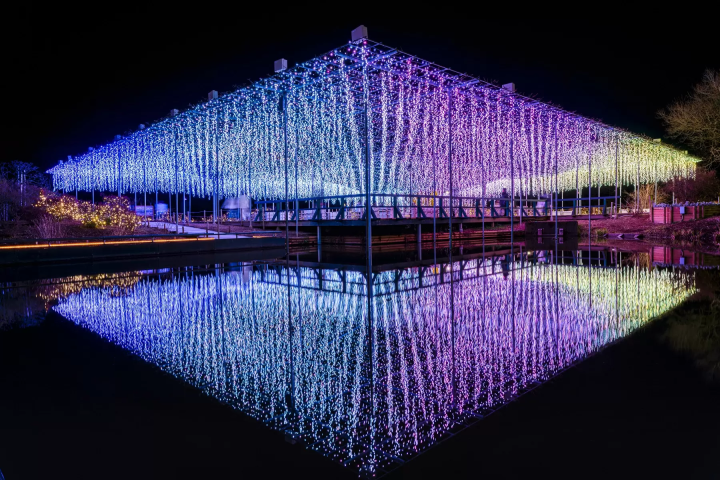 [Ibaraki] Enjoy Autumn! A Day Trip to See Kochia Leaves, Seaside Torii Gates, and Taste the Food