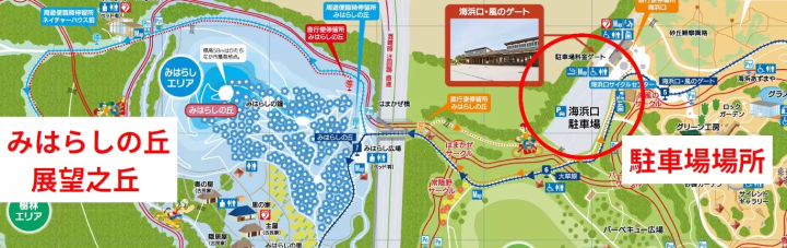 [Ibaraki] Enjoy Autumn! A Day Trip to See Kochia Leaves, Seaside Torii Gates, and Taste the Food