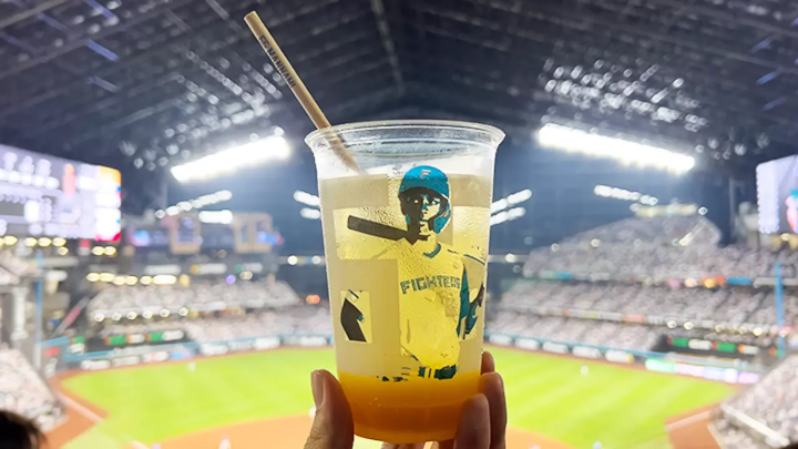 How to Enjoy ES CON FIELD HOKKAIDO, Home of the Hokkaido Nippon-Ham Fighters