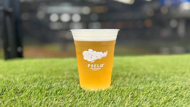 How to Enjoy ES CON FIELD HOKKAIDO, Home of the Hokkaido Nippon-Ham Fighters