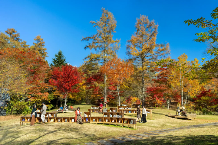 [Nagano/Yamanashi] Autumn Travel - Complete Guide to Autumn Foliage Viewing | Recommended Spots You Can't Miss