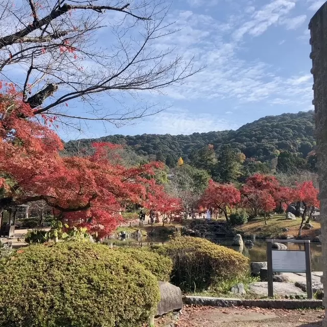 7 recommended spots to see autumn leaves in Kyoto