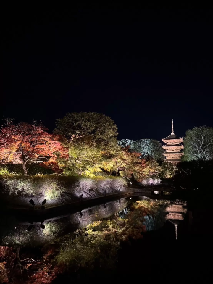 7 recommended spots to see autumn leaves in Kyoto
