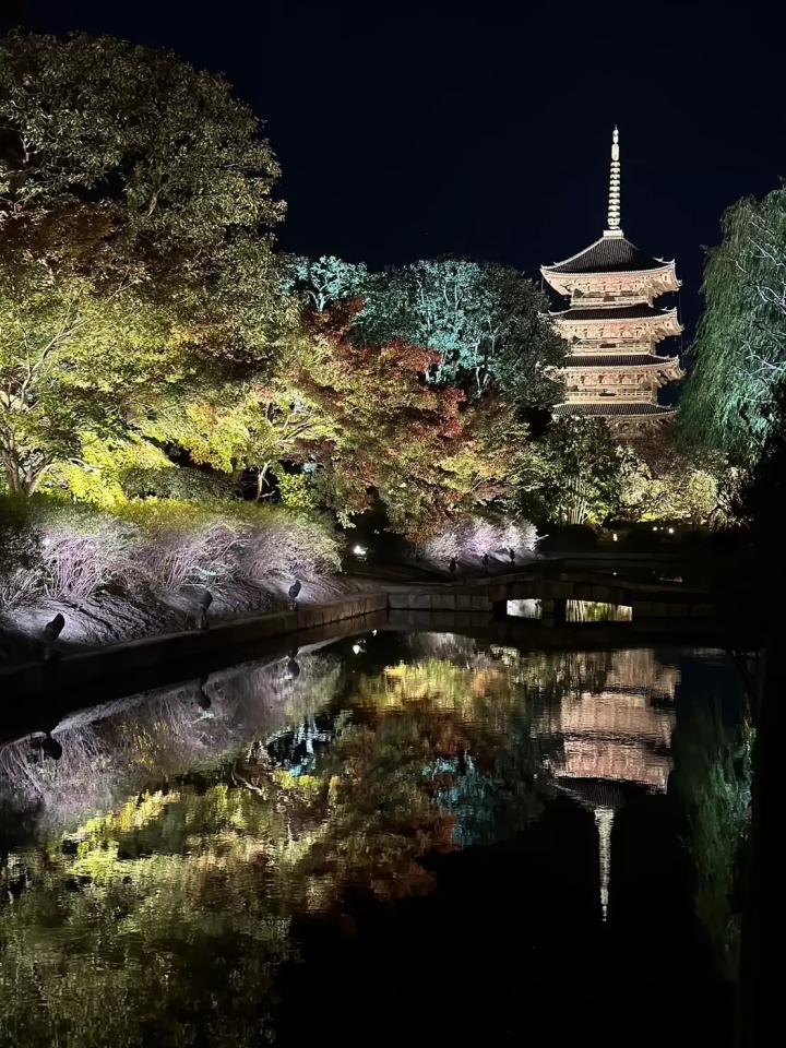 7 recommended spots to see autumn leaves in Kyoto