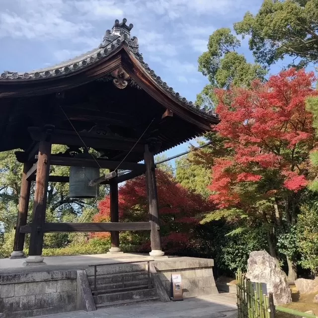 7 recommended spots to see autumn leaves in Kyoto