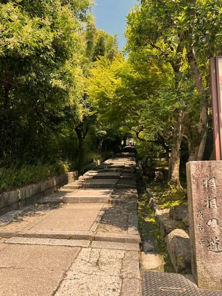 7 recommended spots to see autumn leaves in Kyoto