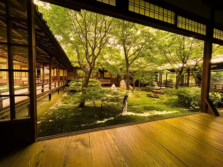 7 recommended spots to see autumn leaves in Kyoto