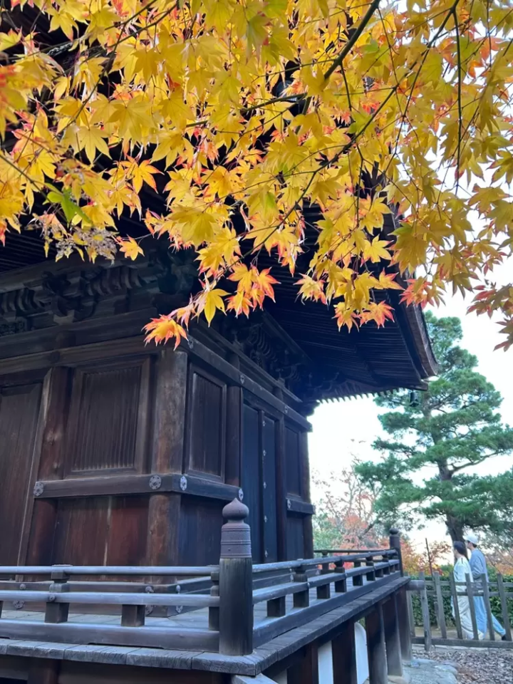 7 recommended spots to see autumn leaves in Kyoto