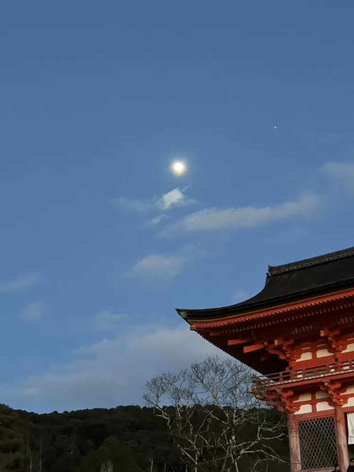 7 recommended spots to see autumn leaves in Kyoto