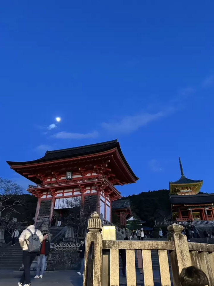 7 recommended spots to see autumn leaves in Kyoto