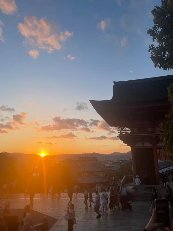 7 recommended spots to see autumn leaves in Kyoto