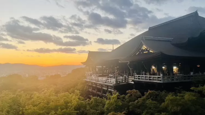7 recommended spots to see autumn leaves in Kyoto