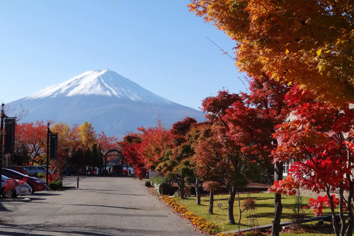[Shinshu, Nagano] Let's go on an autumn trip! Nagano Ebisu-ko Fireworks Festival and the charm of Shinshu