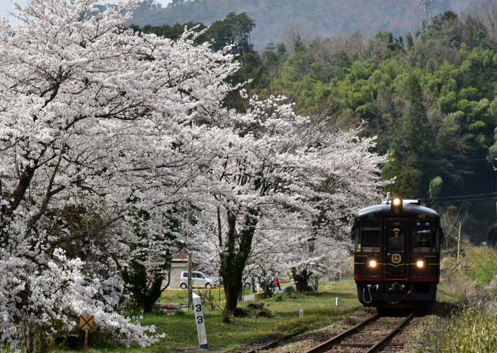 Dining experience on the Tango Kuromatsu (restaurant train) crossing the Yura River railway bridge