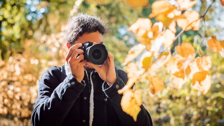 A luxurious trip to enjoy the autumn leaves in a premium hire car to satisfy all five senses