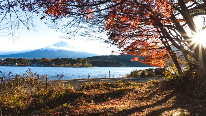 A luxurious trip to enjoy the autumn leaves in a premium hire car to satisfy all five senses