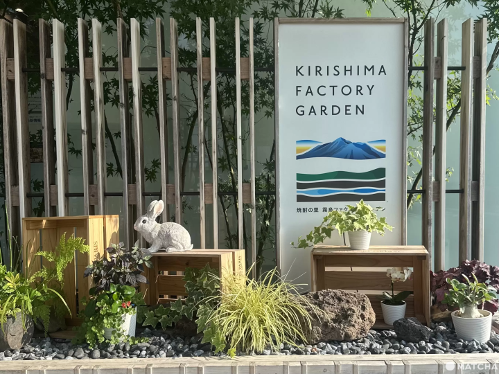 ออกเดินทางสู่ “จังหวัดมิยาซากิ” สถานที่พักใจท่ามกลางความสงบ! กับแผนทริป 2 วัน 1 คืนที่จะได้เพลิดเพลินกับธรรมชาติอันยิ่งใหญ่ อาหารเลิศรส และดินแดนศักดิ์สิทธิ์ในตำนาน