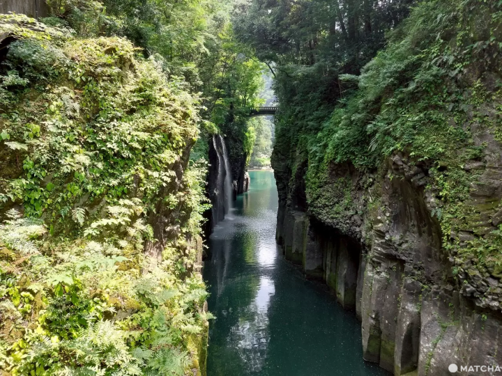 ออกเดินทางสู่ “จังหวัดมิยาซากิ” สถานที่พักใจท่ามกลางความสงบ! กับแผนทริป 2 วัน 1 คืนที่จะได้เพลิดเพลินกับธรรมชาติอันยิ่งใหญ่ อาหารเลิศรส และดินแดนศักดิ์สิทธิ์ในตำนาน