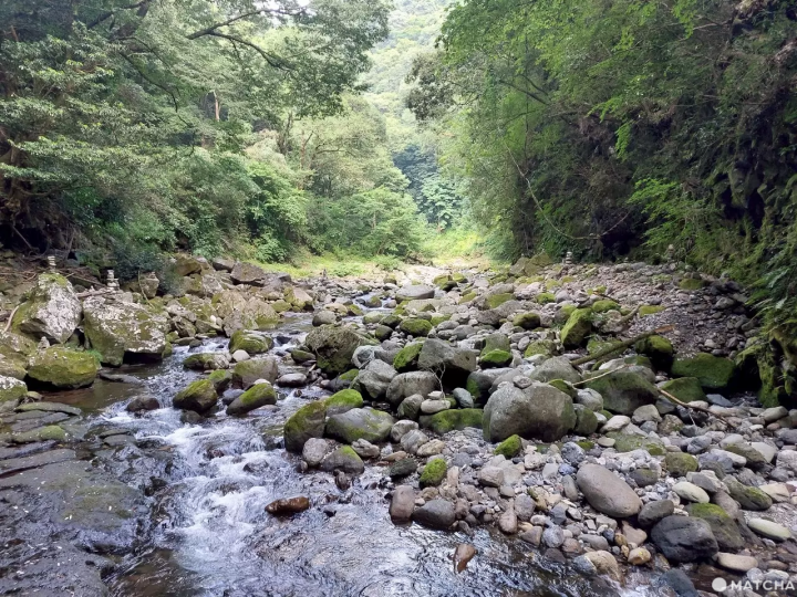 ออกเดินทางสู่ “จังหวัดมิยาซากิ” สถานที่พักใจท่ามกลางความสงบ! กับแผนทริป 2 วัน 1 คืนที่จะได้เพลิดเพลินกับธรรมชาติอันยิ่งใหญ่ อาหารเลิศรส และดินแดนศักดิ์สิทธิ์ในตำนาน