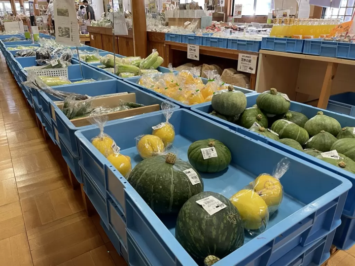 Car Camping in Iitaka: 3-Day 2-Night Itinerary with Matsusaka Beef, Hot Springs, and more!