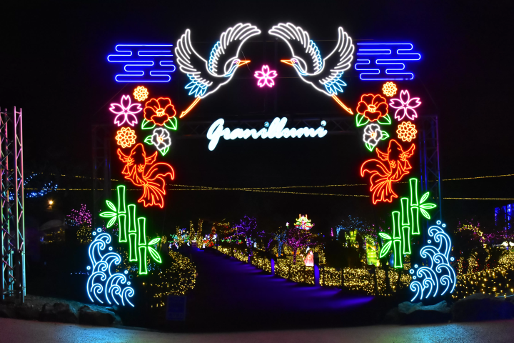【2025最新】東京近郊！伊豆ぐらんぱる公園のイルミネーションを徹底解説