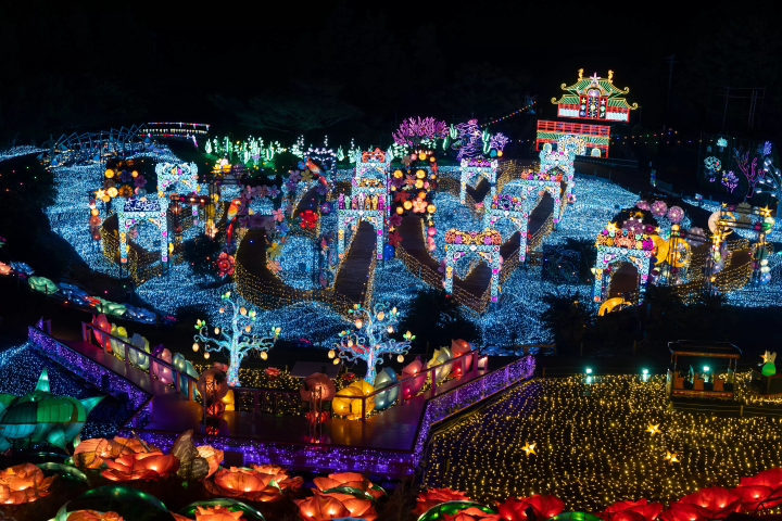 【2025最新】東京近郊！伊豆ぐらんぱる公園のイルミネーションを徹底解説