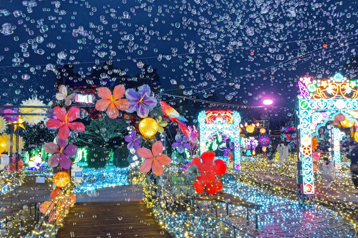 【2025最新】東京近郊！伊豆ぐらんぱる公園のイルミネーションを徹底解説