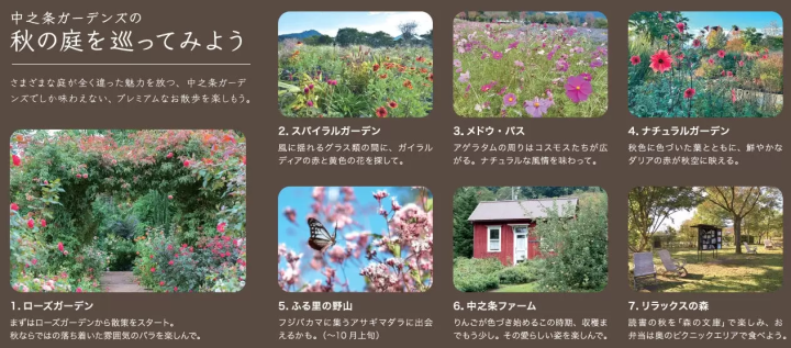 [Gunma Prefecture, Nakanojo Town] How to Enjoy Nakanojo Gardens in Autumn