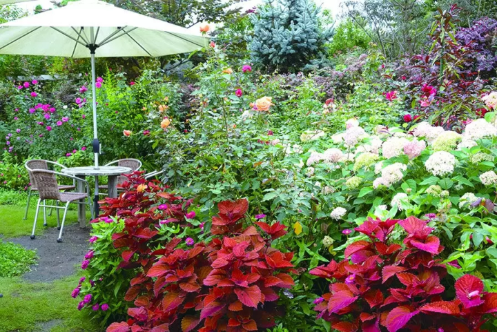 [Gunma Prefecture, Nakanojo Town] How to Enjoy Nakanojo Gardens in Autumn