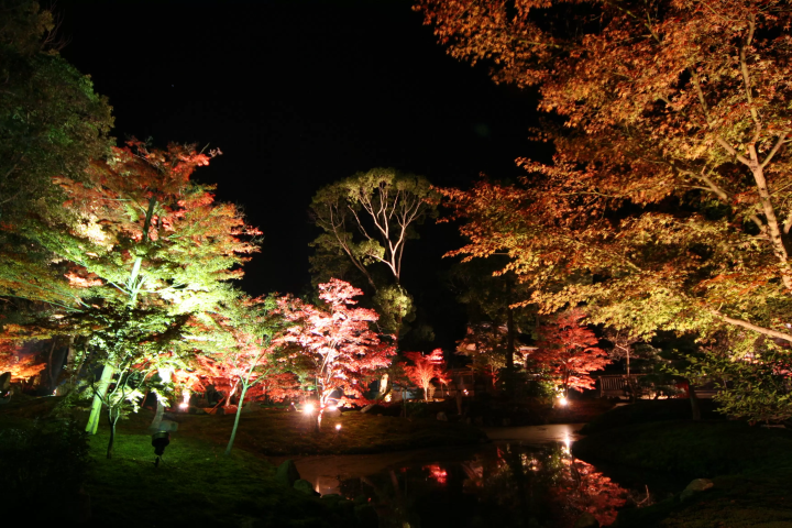5 Must-See Autumn Foliage Spots Around Lake Biwa, Shiga - Perfect for a Scenic Fall Walk