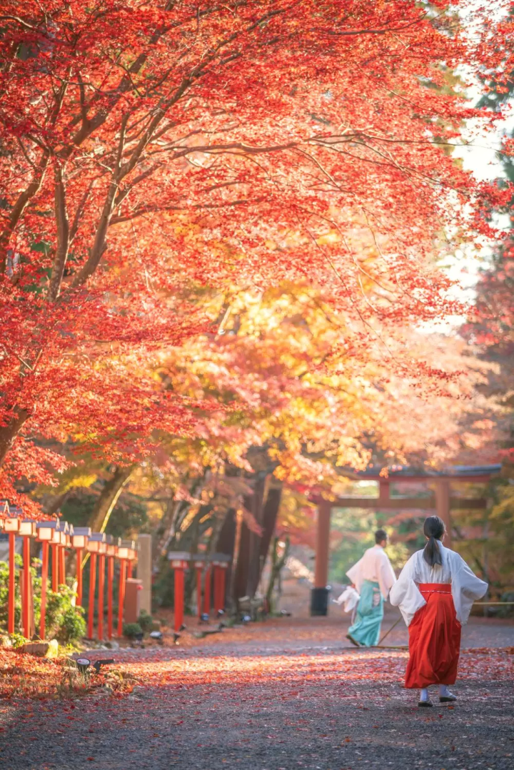 5 Must-See Autumn Foliage Spots Around Lake Biwa, Shiga - Perfect for a Scenic Fall Walk