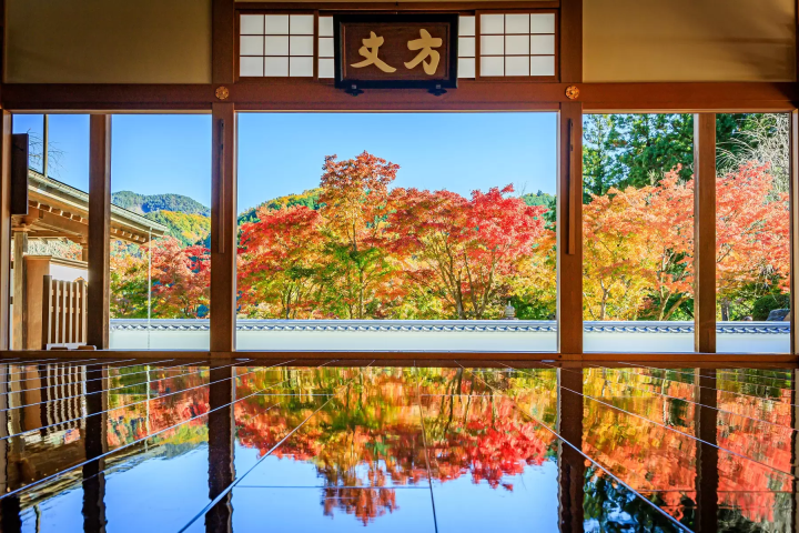 【群馬】群馬の秋絶景 ― 宝徳寺・吹割の滝・老神温泉を巡る旅