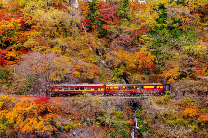 【群馬】群馬の秋絶景 ― 宝徳寺・吹割の滝・老神温泉を巡る旅