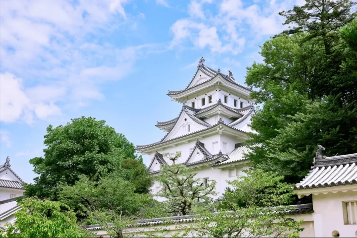 Enjoy Japanese sake in Ogaki, Gifu Prefecture! 3 sake breweries beloved by locals